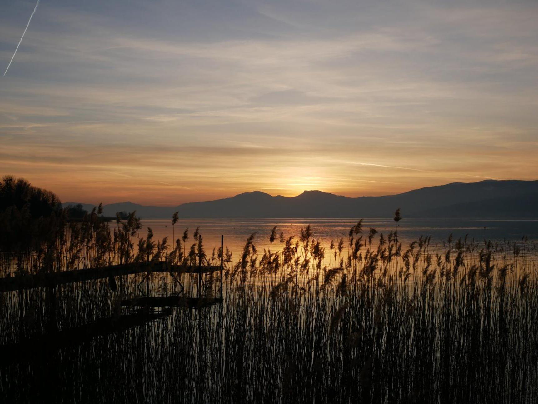 Kusmi Love Piscine Proche Du Lac 阿讷西 外观 照片